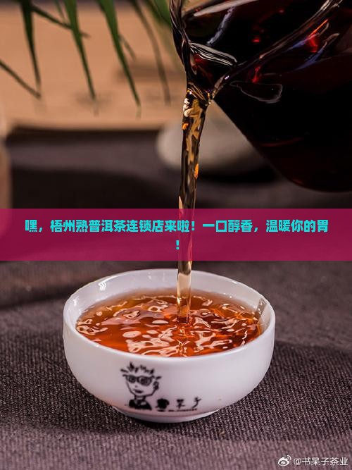 梧州熟普洱茶连锁店