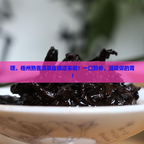 梧州熟普洱茶连锁店