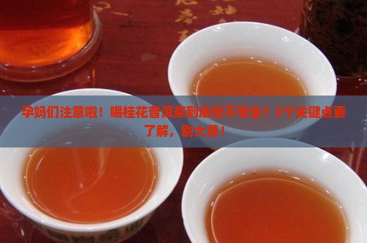 孕妇可以吃桂花普洱茶吗