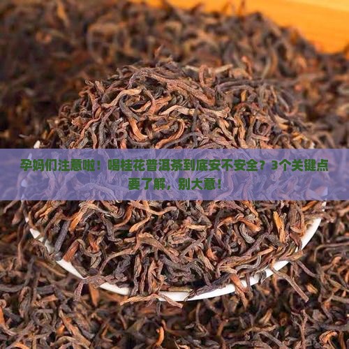 孕妇可以吃桂花普洱茶吗