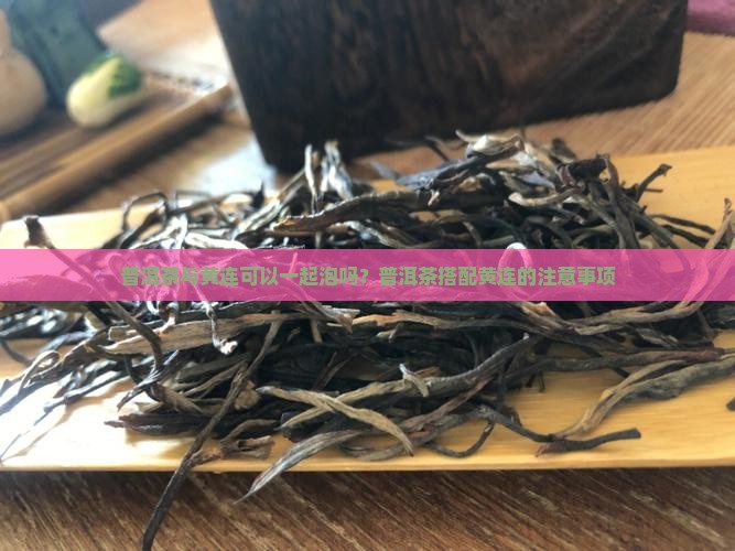 普洱茶可以和黄连一起泡吗