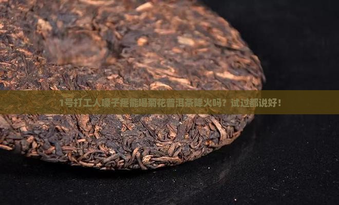上火可以喝菊花普洱茶吗