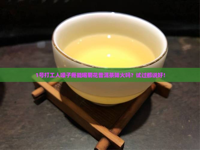上火可以喝菊花普洱茶吗