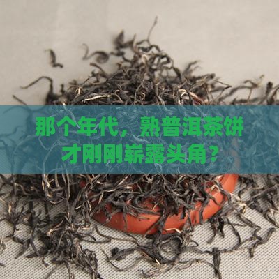 熟普洱茶饼什么时候有