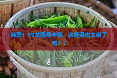 99龙园号普洱茶中茶
