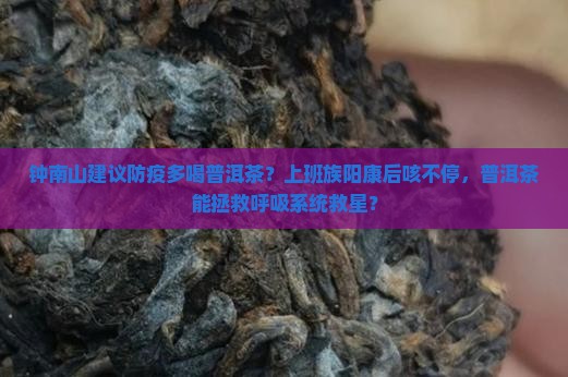钟南山建议防疫多喝普洱茶