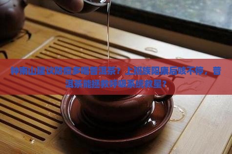 钟南山建议防疫多喝普洱茶