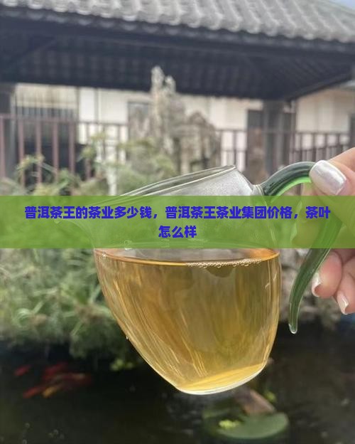 普洱茶王的茶业多少钱