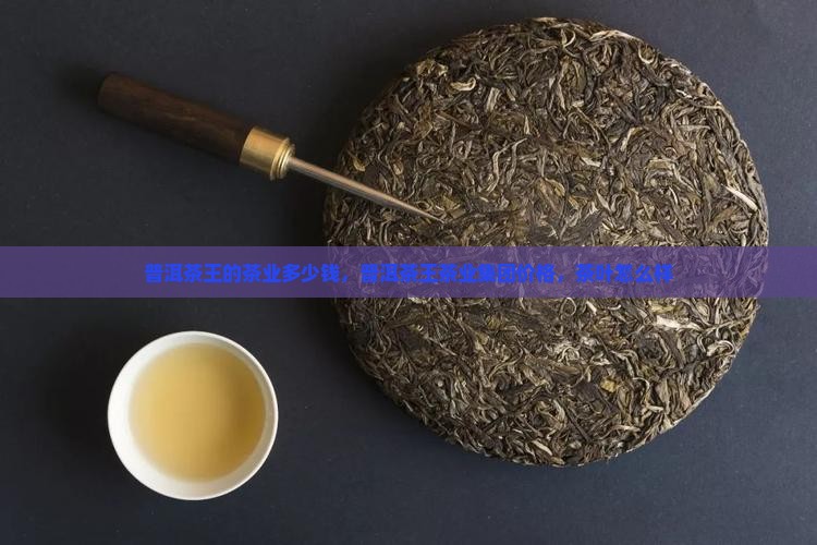 普洱茶王的茶业多少钱
