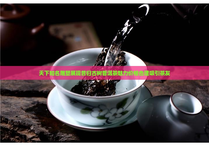 秦姑娘的昔归茶尊