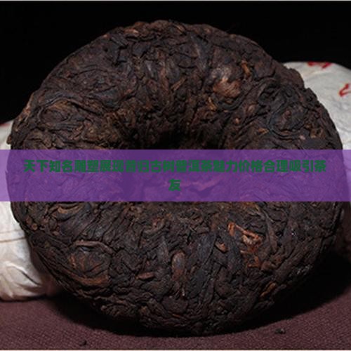 秦姑娘的昔归茶尊