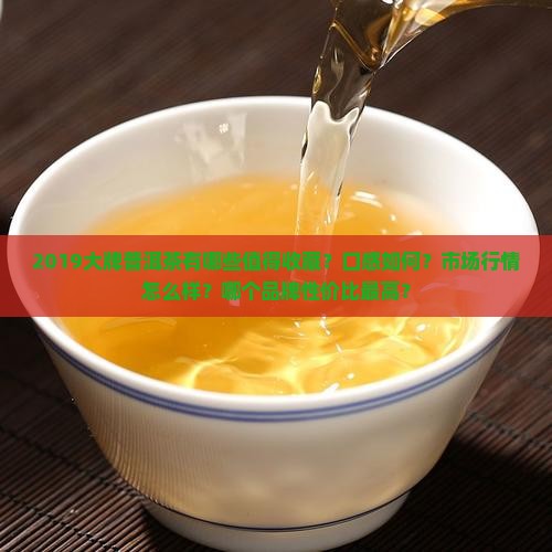2019大牌普洱茶 2019大牌普洱茶