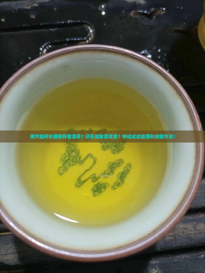 南方如何长期保存普洱茶