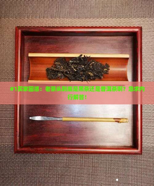 老茶头属于黑茶还是普洱茶