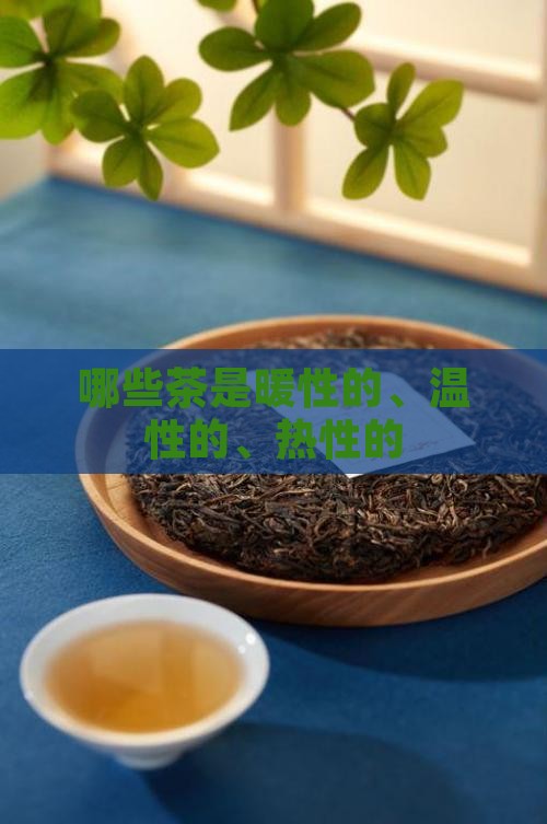 哪些茶是暖性的