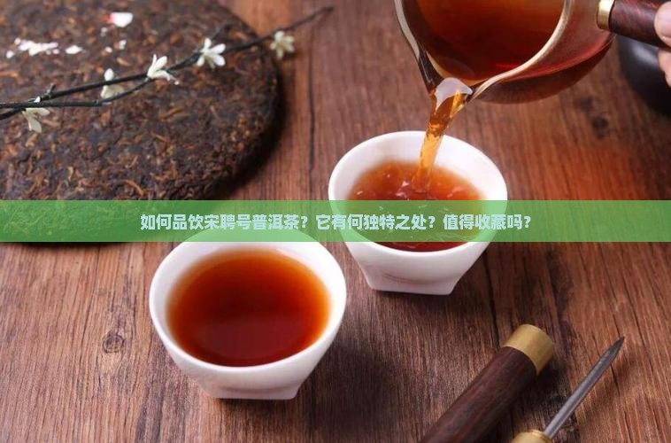 品饮宋聘号普洱茶