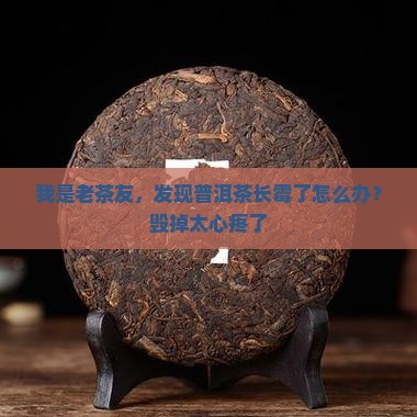 普洱茶上霉了怎么处理