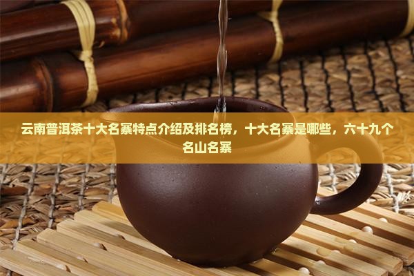 云南普洱茶十大名寨
