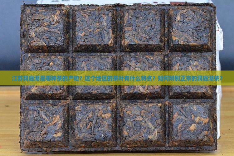江苏洞庭湖是哪种茶的产地