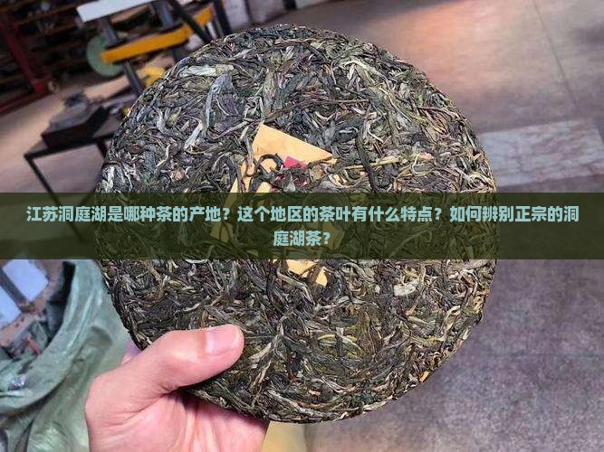 江苏洞庭湖是哪种茶的产地