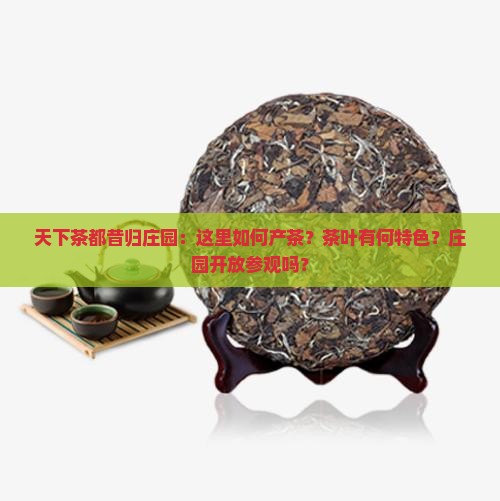 天下茶都昔归庄园