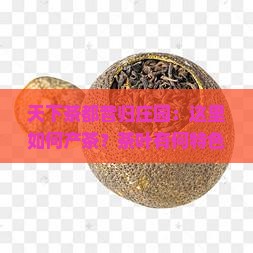 天下茶都昔归庄园