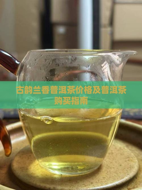 古韵兰香普洱茶怎么买 古韵兰香普洱茶怎么买
