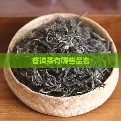 普洱茶有哪些品名