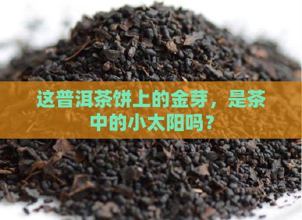 普洱茶饼上面的金芽