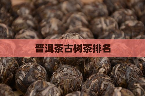 普洱茶古树茶排名