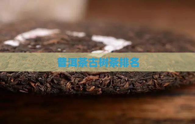 普洱茶古树茶排名