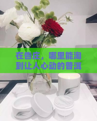 告庄哪里买普洱茶
