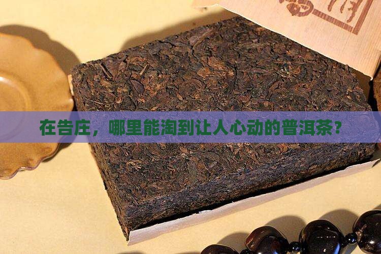 告庄哪里买普洱茶