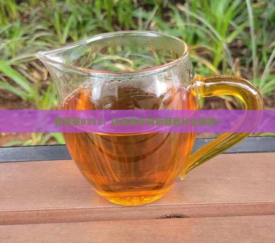 普洱茶8352的来历