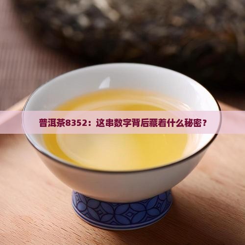 普洱茶8352的来历