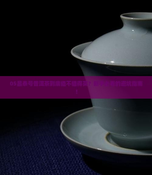 05昌泰号普洱茶