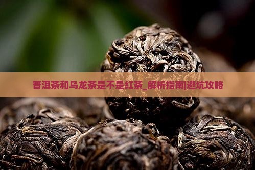 普洱茶和乌龙茶是不是红茶