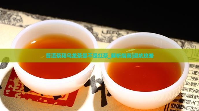 普洱茶和乌龙茶是不是红茶