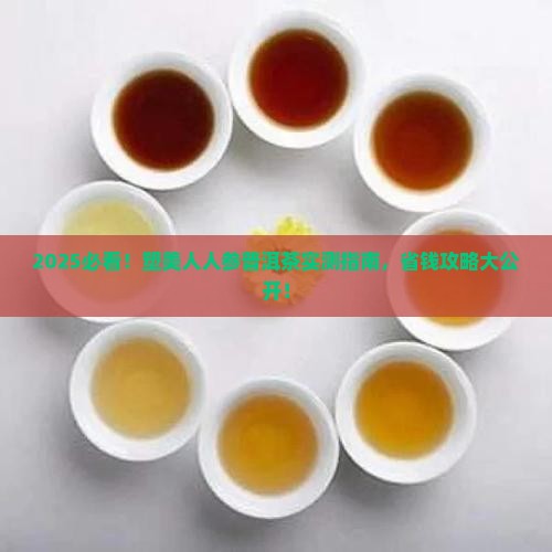 塑美人人参普洱茶