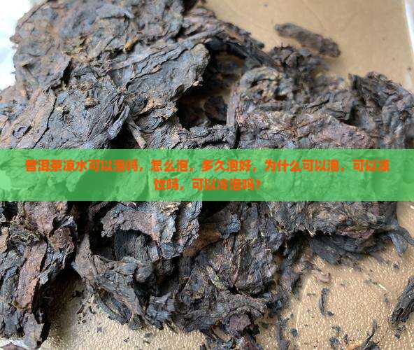 普洱茶凉水可以泡吗