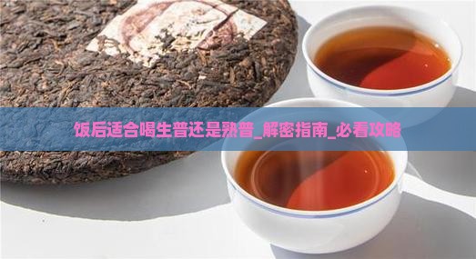 饭后适合喝生普还是熟普
