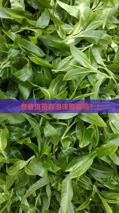 煮普洱茶有泡沫能喝吗