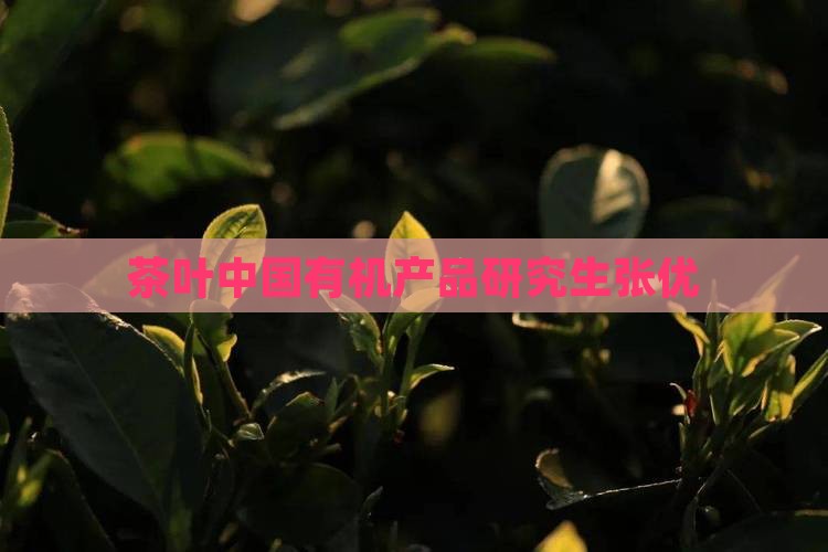 茶叶研究生张优