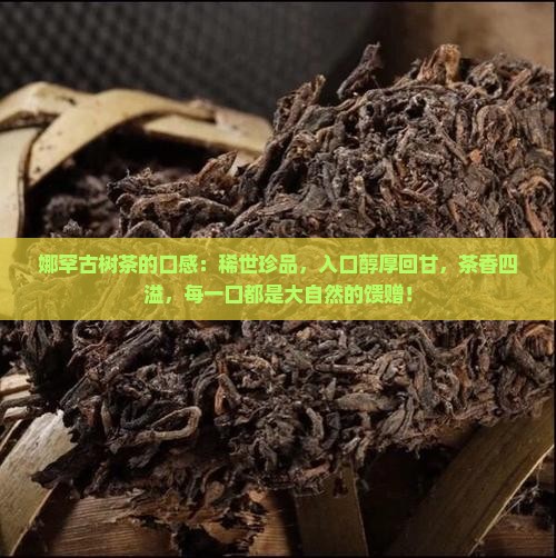 娜罕古树茶的口感