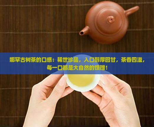 娜罕古树茶的口感