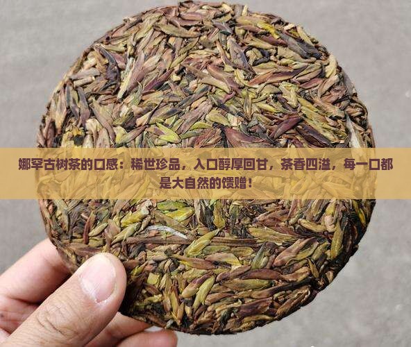 娜罕古树茶的口感