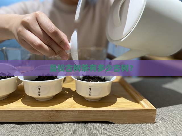 曼松古树茶有多少