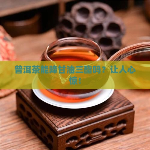 普洱茶甘油三酯
