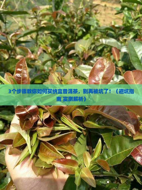 普洱茶怎样存放购买纳盒