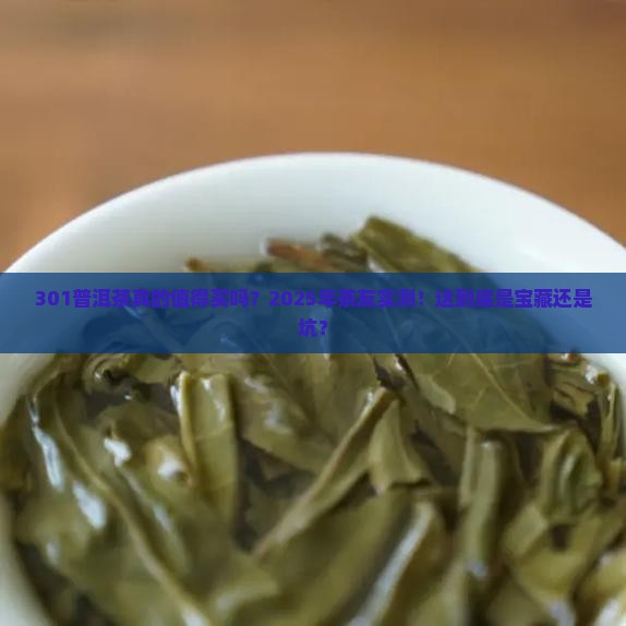 301普洱茶怎么样